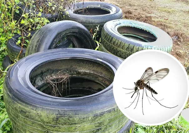 Salud Coahuila advierte aumento de casos y variante hemorrágica de dengue con mayor resistencia