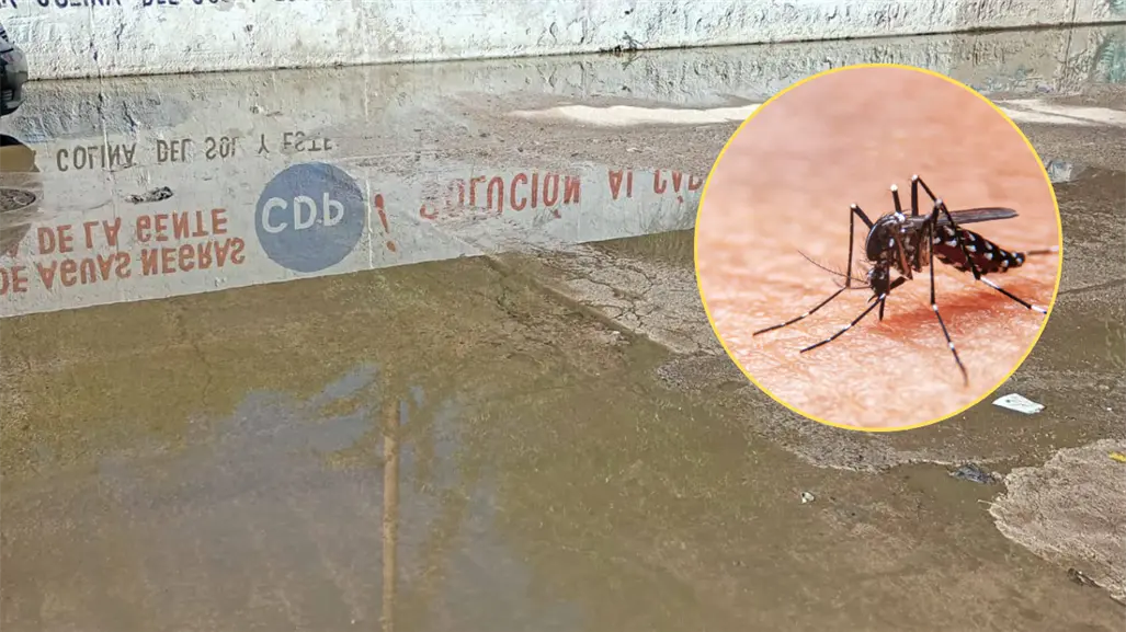 Denuncian 27 casos de dengue en El Esterito; piden fumigación urgente en La Paz