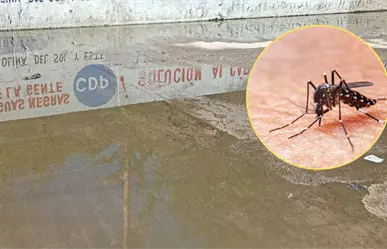 Denuncian 27 casos de dengue en El Esterito; piden fumigación urgente en La Paz