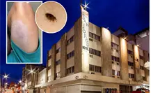 Hotel San Jorge en Saltillo: turistas denuncian presuntas picaduras de chinches