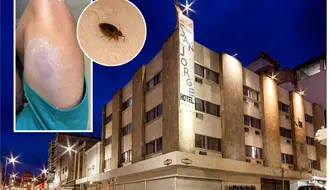 Hotel San Jorge en Saltillo: turistas denuncian presuntas picaduras de chinches