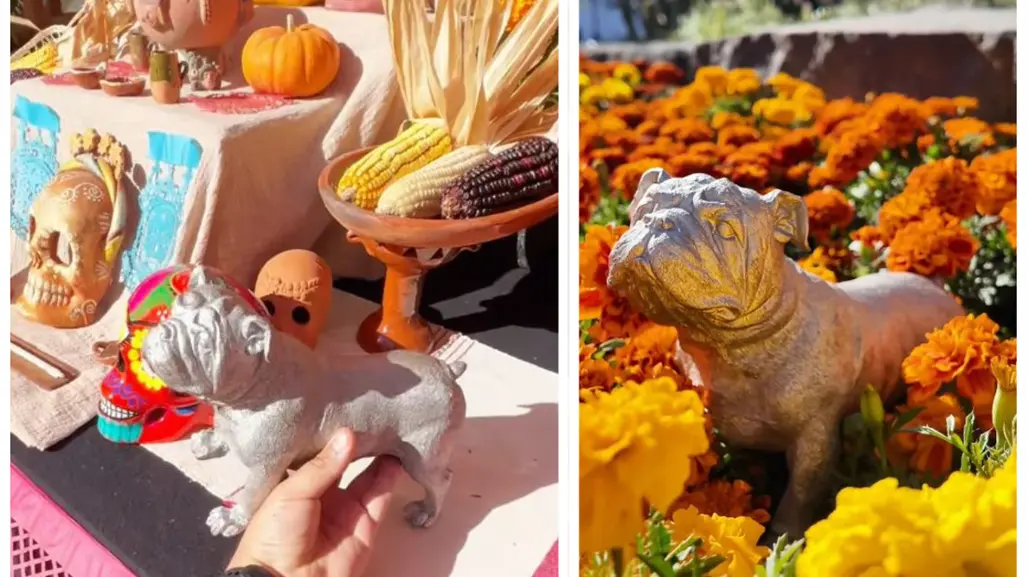 GP México 2025: Honran a Roscoe, mascota de Lewis Hamilton, con altar de Día de Muertos