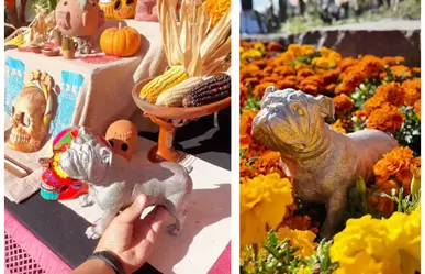 GP México 2025: Honran a Roscoe, mascota de Lewis Hamilton, con altar de Día de Muertos