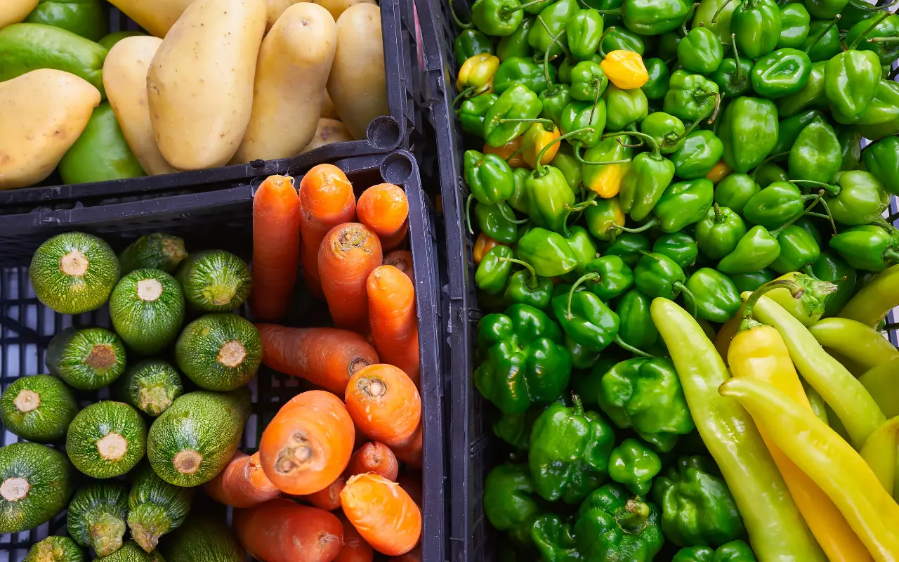 Zanahorias, calabazas, papas y chiles. Foto: Canva