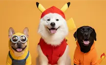 Mejores ideas de disfraces para que tu lomito gane el concurso de Día de Muertos perruno en Edomex