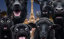 Día de Muertos en CDMX: detrás de la tradición persiste la venta ilegal de animales para rituales