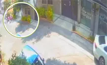 VIDEO | Alumna de CETIS 56 en CDMX es golpeada por compañeros y sufre traumatismo de cráneo; familiares exigen justicia VIDEO | Alumna de CETIS 56 en CDMX es golpeada por compañeros y sufre traumatismo de cráneo; familiares exigen justicia