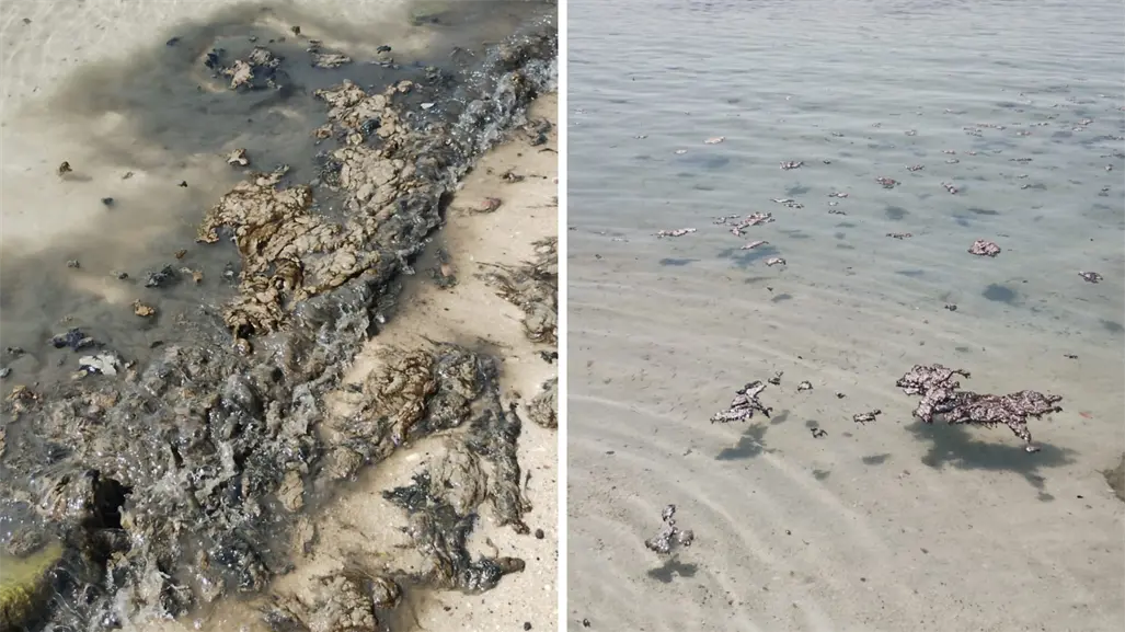 Alertan sobre posible daño ambiental en Playa Pichilingue en La Paz por derrame de residuos