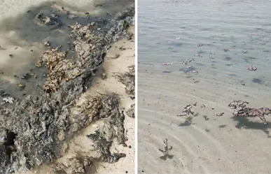 Alertan sobre posible daño ambiental en Playa Pichilingue en La Paz por derrame de residuos