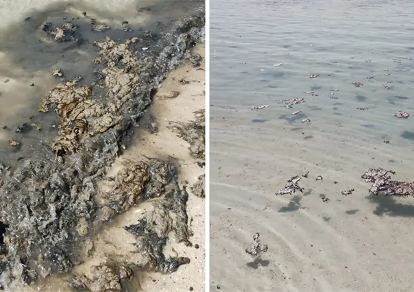 Alertan sobre posible daño ambiental en Playa Pichilingue en La Paz por derrame de residuos