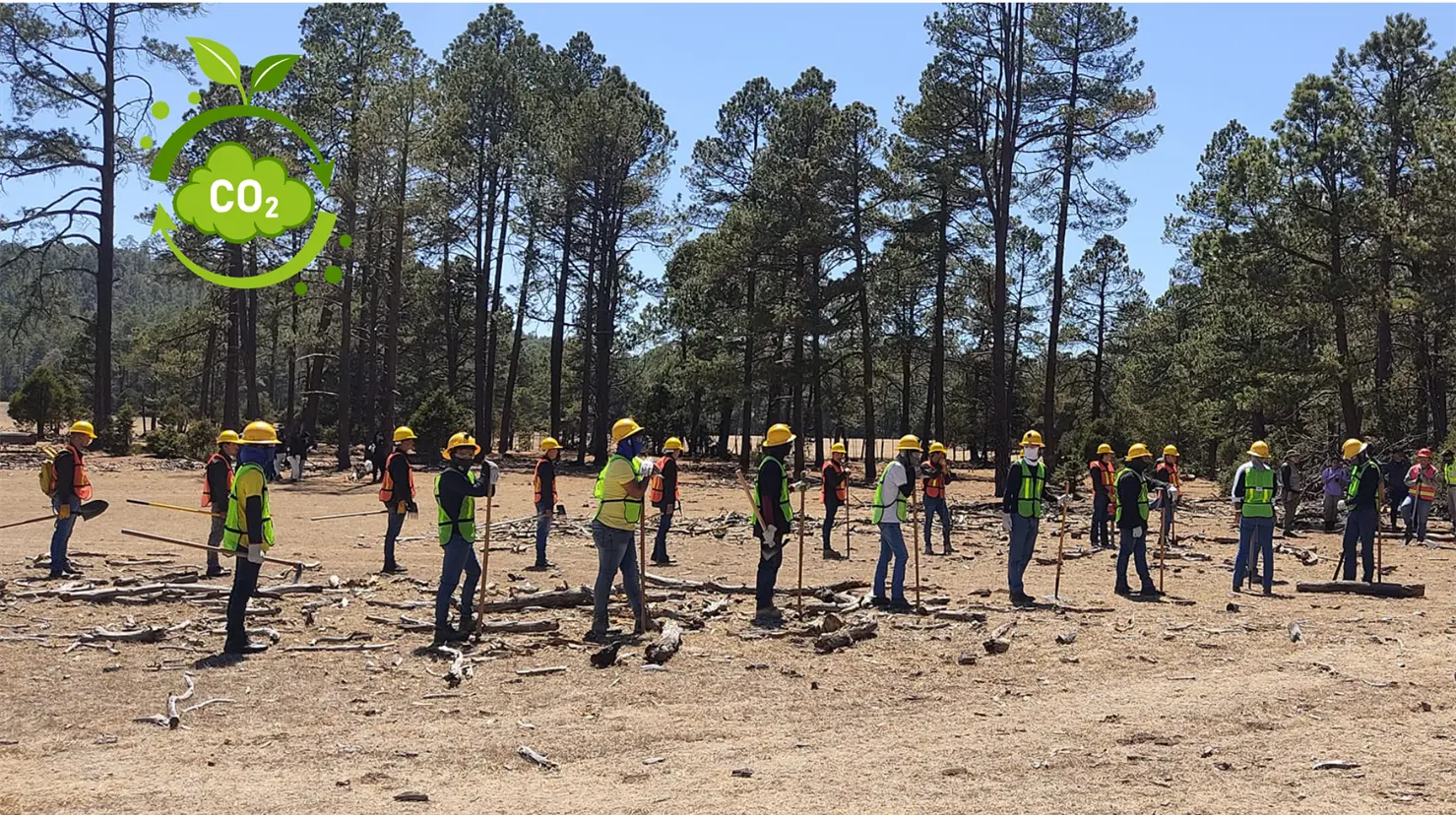 Este ejido de Durango ha logrado realizar obras debido a los bonos de carbono. Foto: Especial.