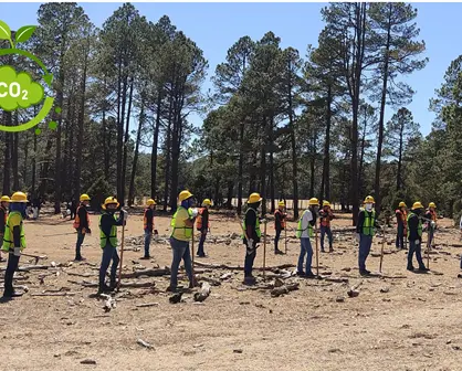 ¿Dónde está San Diego de Tezains, el ejido que es modelo en el aprovechamiento de bonos de carbono?