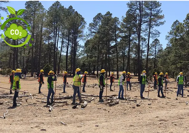 ¿Dónde está San Diego de Tezains, el ejido que es modelo en el aprovechamiento de bonos de carbono?