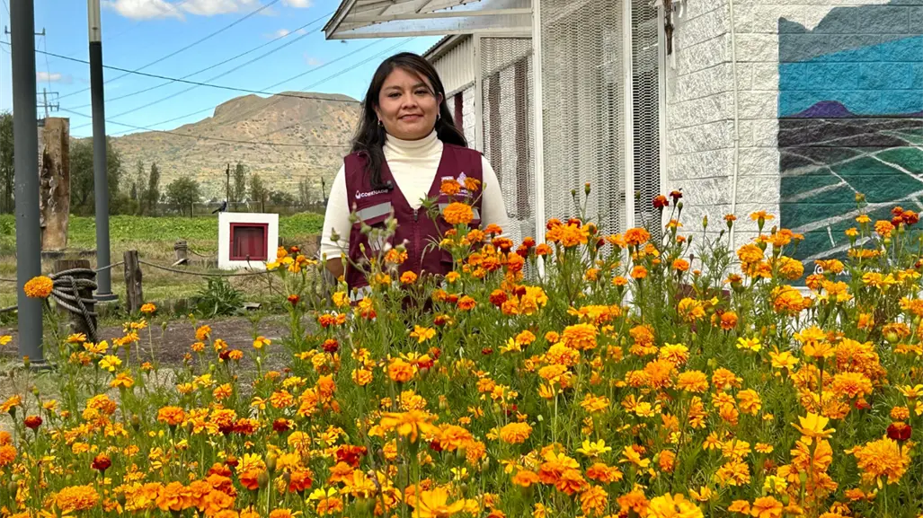 ¿El cempasúchil es de China? Especialista de la CDMX aclara el mito