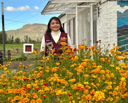 ¿El cempasúchil es de China? Especialista de la CDMX aclara el mito