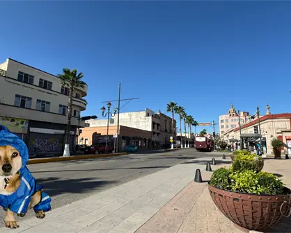 Se esperan bajas temperaturas para este 24 de octubre en Durango