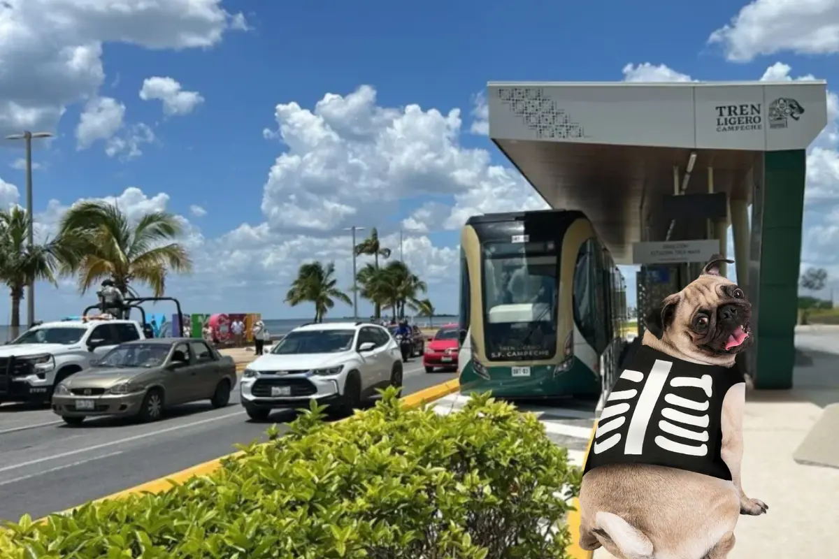 Día de Muertos 2025: El Tren Maya te invita a celebrar con tu perrito; habrá premios. Foto: Tren Maya | Canva | goodmitar.click