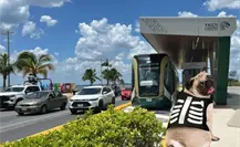 Día de Muertos 2025: El Tren Maya te invita a celebrar con tu perrito; habrá premios Día de Muertos 2025: El Tren Maya te invita a celebrar con tu perrito; habrá premios