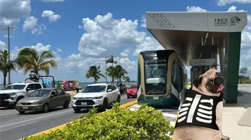 Día de Muertos 2025: El Tren Maya te invita a celebrar con tu perrito; habrá premios
