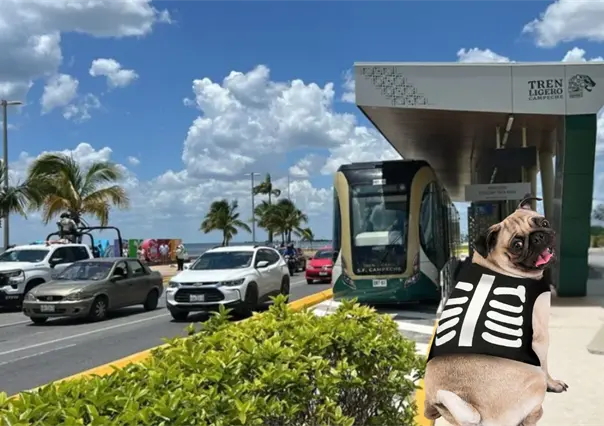 Día de Muertos 2025: El Tren Maya te invita a celebrar con tu perrito; habrá premios