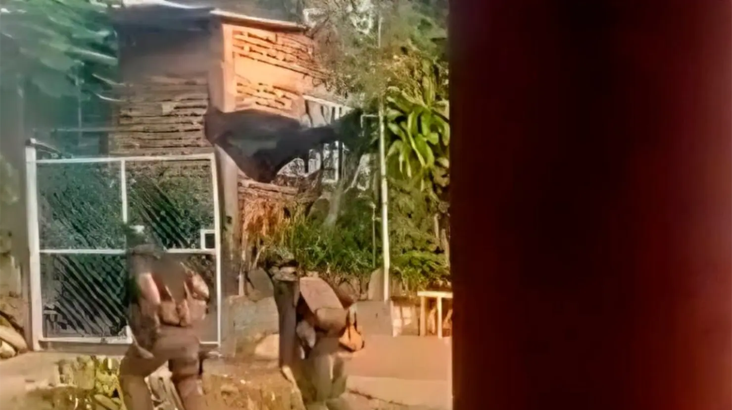 Gobierno de Michoacán refuerza seguridad tras ataque armado del CJNG en Presa de los Olivos y Cholula. Foto: X (@michangoonga)