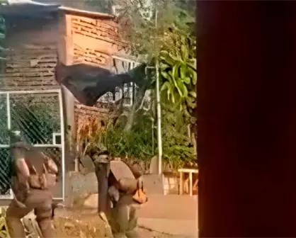 Gobierno de Michoacán refuerza seguridad tras ataque armado del CJNG en Presa de los Olivos y Cholula