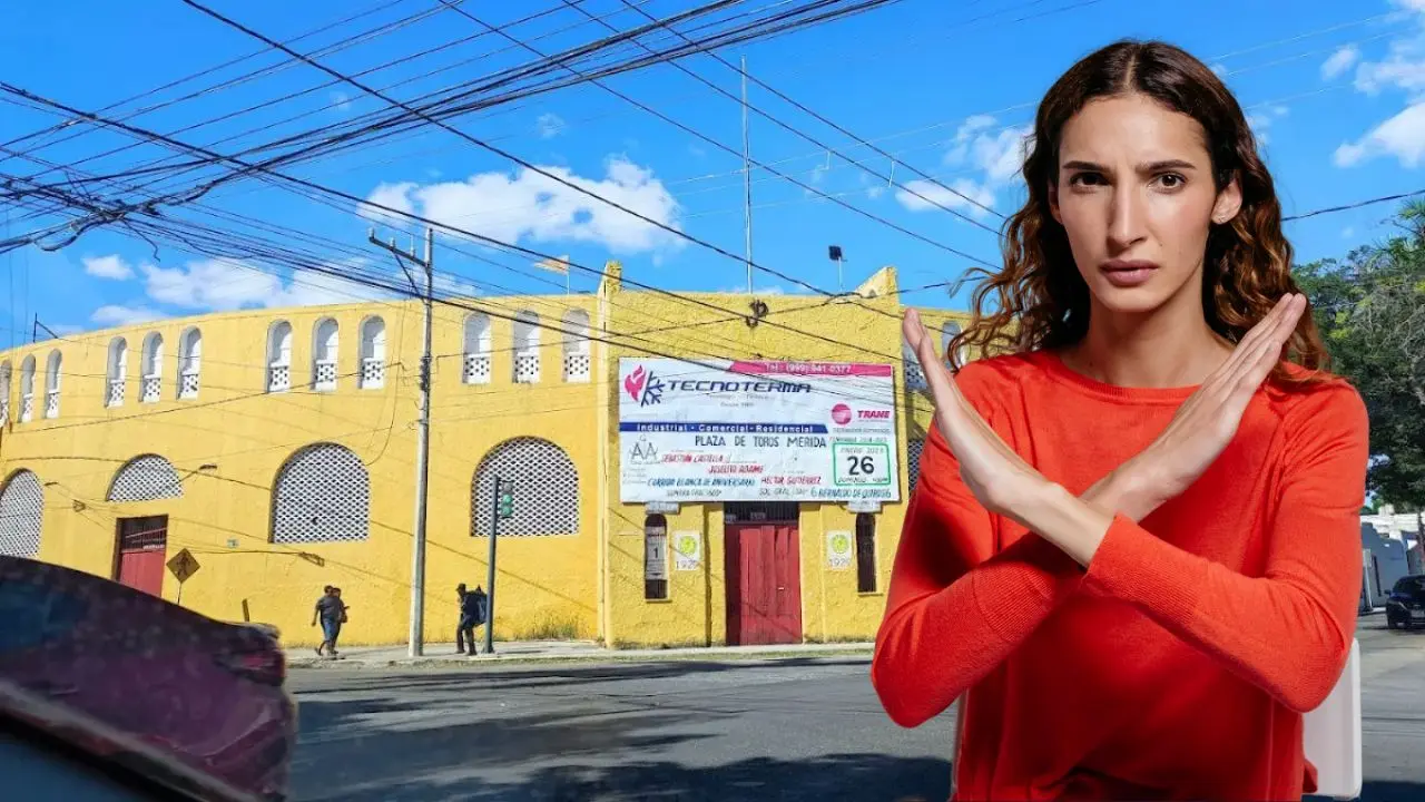 ¿Por qué la Fundación Tócate rechazó el donativo? Foto: Canva