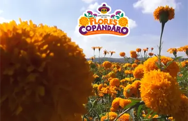 Festival de las Flores Copándaro: Tradición y manojos de flores desde $60 para el Día de Muertos