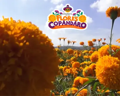 Festival de las Flores Copándaro: Tradición y manojos de flores desde $60 para el Día de Muertos