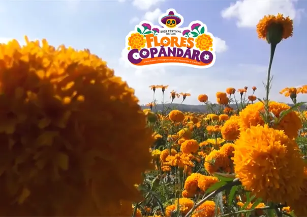 Festival de las Flores Copándaro: Tradición y manojos de flores desde $60 para el Día de Muertos