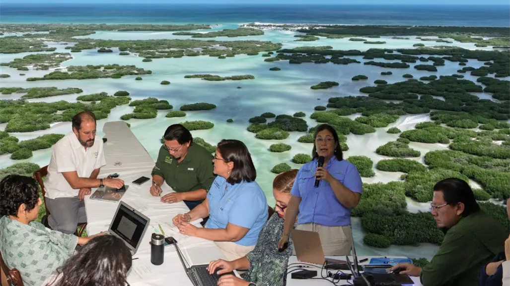 Buscan sumar esfuerzos por la conservación de los manglares de Yucatán durante un foro