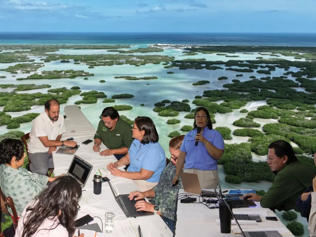 En días pasados se realizó el Yucatán el  Foro Manglar 2025 que reunió a distintas instituciones y organismos para hablar sobre la protección de estos ecosistemas costeros.- Fuente Gobierno del Estado