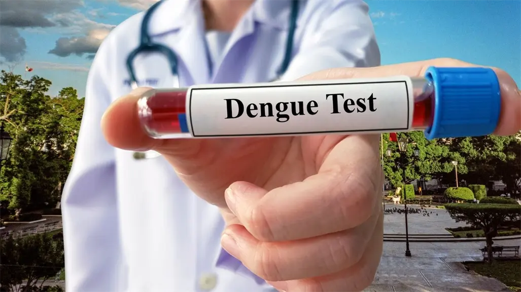 ¿Cuántas muertes por dengue se han registrado en Yucatán en 2025? Esto es lo que se sabe
