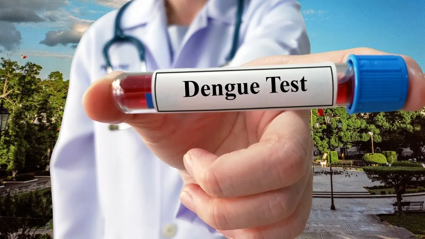 ¿Cuántas muertes por dengue se han registrado en Yucatán en 2025?. Foto: Canva