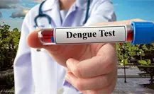 ¿Cuántas muertes por dengue se han registrado en Yucatán en 2025? Esto es lo que se sabe ¿Cuántas muertes por dengue se han registrado en Yucatán en 2025? Esto es lo que se sabe