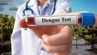 ¿Cuántas muertes por dengue se han registrado en Yucatán en 2025? Esto es lo que se sabe