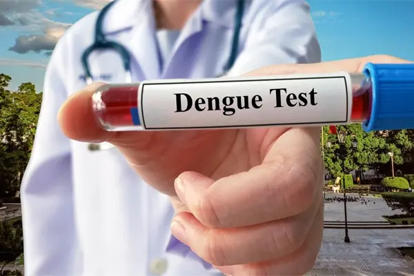 ¿Cuántas muertes por dengue se han registrado en Yucatán en 2025? Esto es lo que se sabe ¿Cuántas muertes por dengue se han registrado en Yucatán en 2025? Esto es lo que se sabe