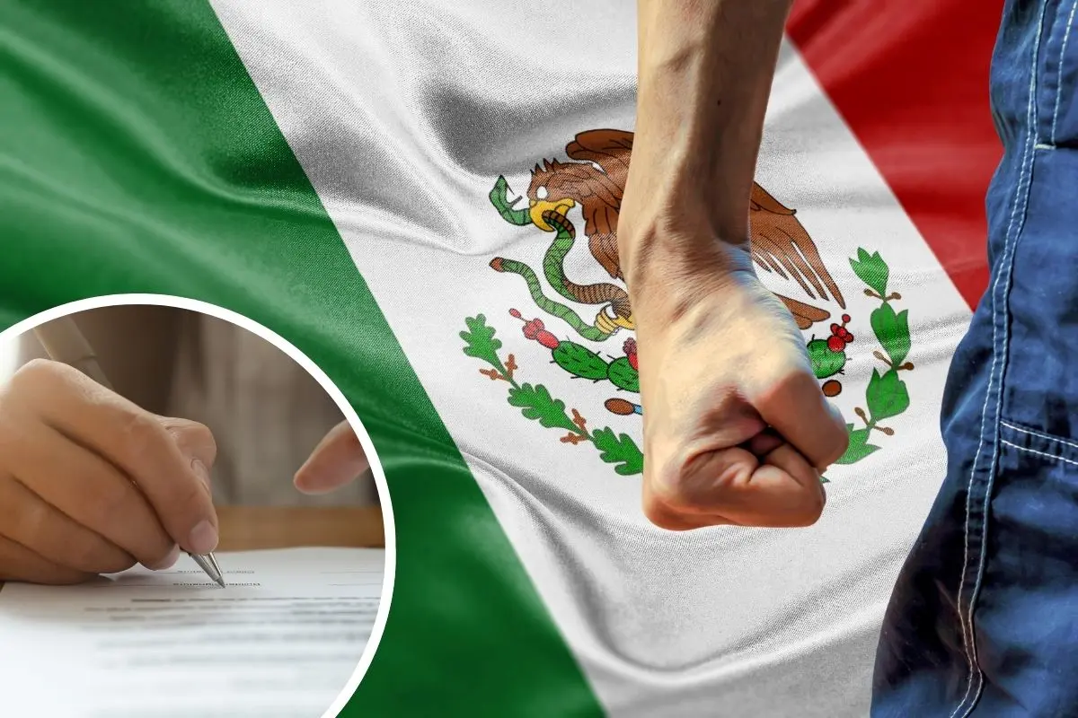contratos de carbón desatan golpiza entre diputados / Foto: Composición de Canva