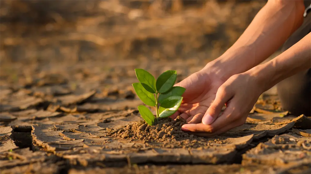 Cambio climático en BCS: anuncian conversatorio estatal con especialistas el 29 de octubre