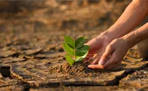 Cambio climático en BCS: anuncian conversatorio estatal con especialistas el 29 de octubre Cambio climático en BCS: anuncian conversatorio estatal con especialistas el 29 de octubre