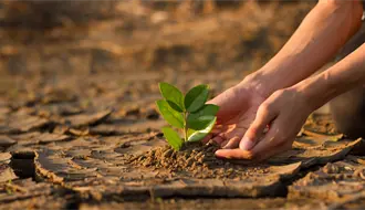 Cambio climático en BCS: anuncian conversatorio estatal con especialistas el 29 de octubre
