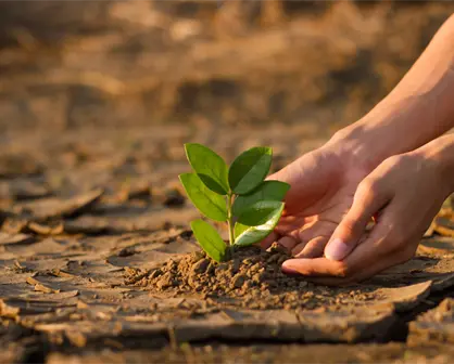 Cambio climático en BCS: anuncian conversatorio estatal con especialistas el 29 de octubre