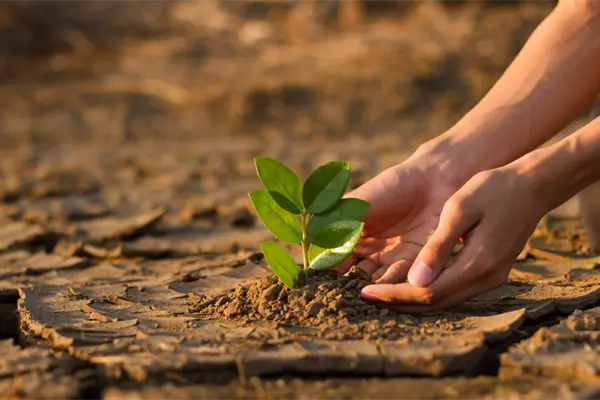 Cambio climático en BCS: anuncian conversatorio estatal con especialistas el 29 de octubre