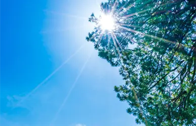 Clima caluroso predominará en Tamaulipas este 24 de octubre
