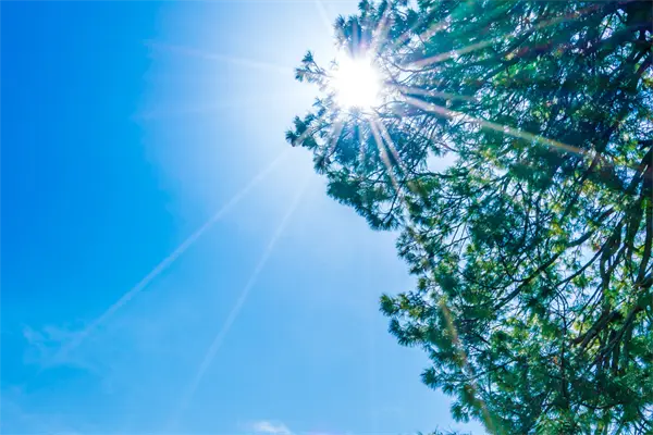 Clima caluroso predominará en Tamaulipas este 24 de octubre