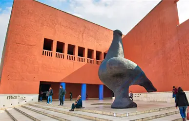 Museo MARCO extiende tarifa de acceso con descuento ¿hasta cuándo?