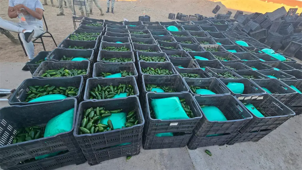 Decomisan más de una tonelada de droga oculta en cargamento de chiles en Sonora