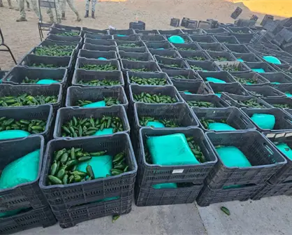 Decomisan más de una tonelada de droga oculta en cargamento de chiles en Sonora