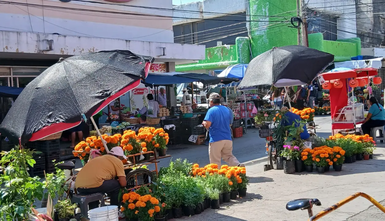 El cempasúchil inunda las calles de Ciudad Victoria con su aroma y color previo al Día de Muertos, mientras comerciantes reportan buena demanda y precios accesibles. Foto: Ayuntamiento Ciudad Victoria