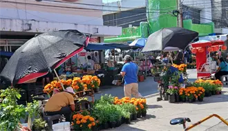 El cempasúchil tiñe de naranja las calles de Ciudad Victoria rumbo al Día de Muertos